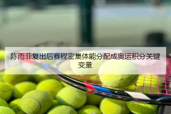 陈雨菲复出后赛程密集体能分配成奥运积分关键变量